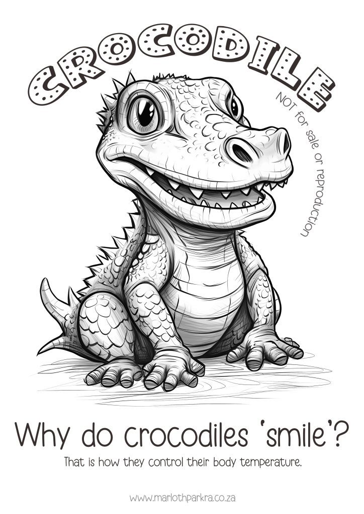 #marlothparkratepayersassociation